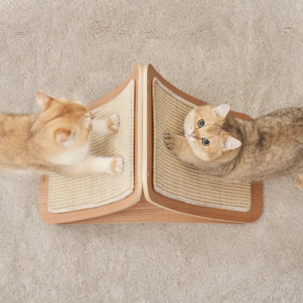 messageImage_1776428967888