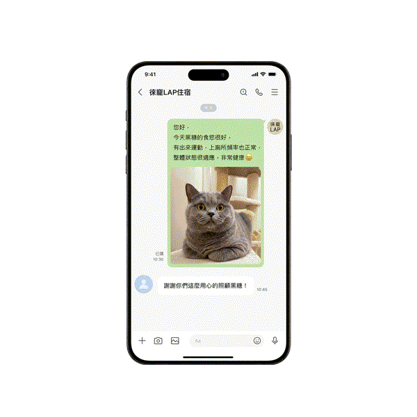 回報