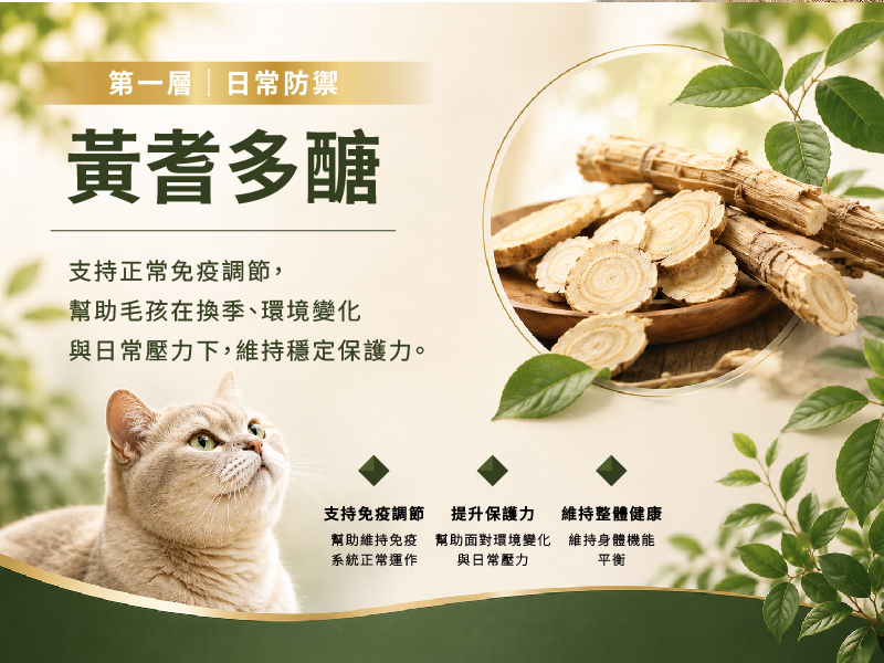 0714狀狀行銷圖-04