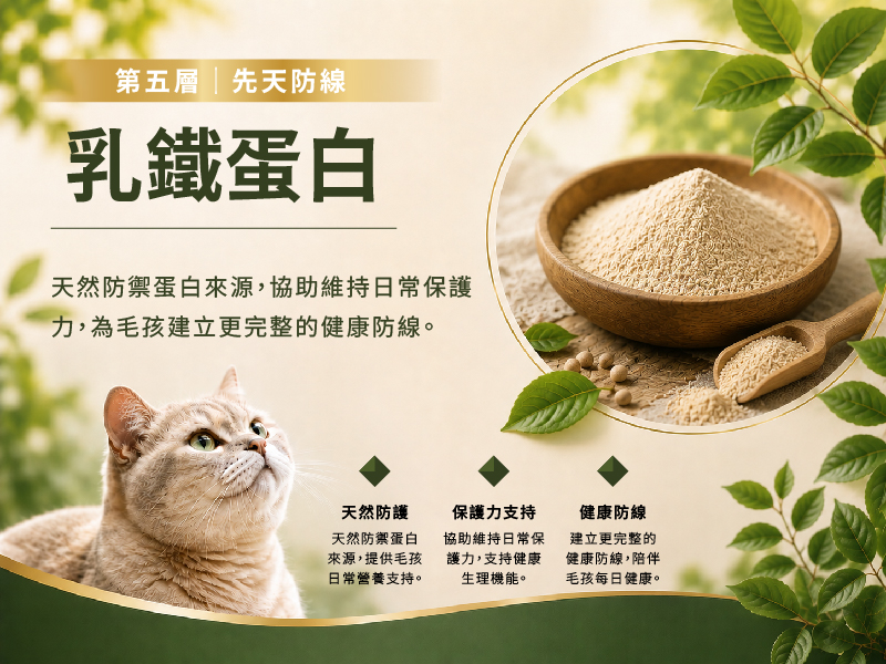 0714狀狀行銷圖-08