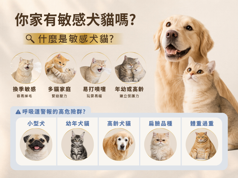 0714狀狀行銷圖_工作區域 1