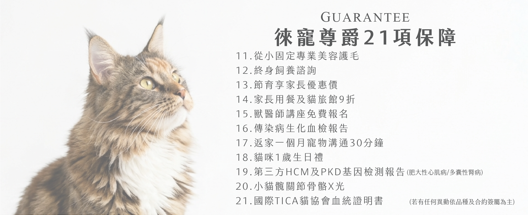 品種貓媒合-21項保障-2