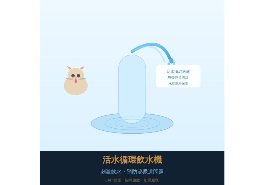 cover_0003_13_water_fountain_0_0